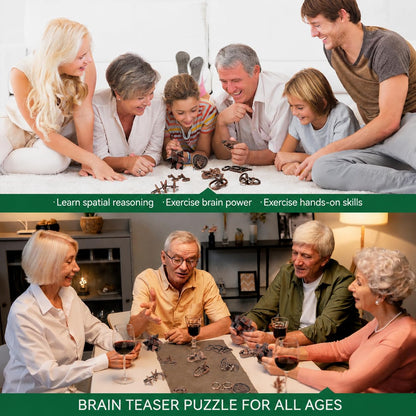 Brain Teaser Puzzles for Adults Teens - 3D Brain Teaser Puzzle Game Toys