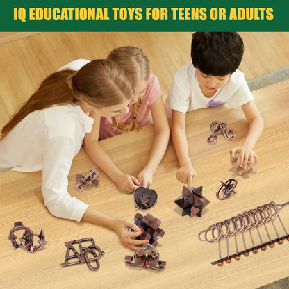 Brain Teaser Puzzles for Adults Teens - 3D Brain Teaser Puzzle Game Toys
