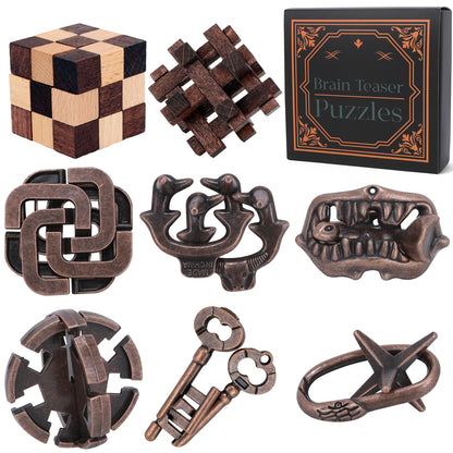 Brain Teaser Puzzles for Adults Teens - 3D Brain Teaser Puzzle Game Toys